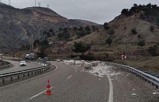 Pamuk balyaları yola savruldu