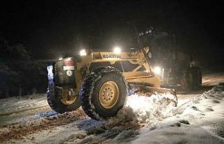 Pamukkale baharda karla mücadele ediyor