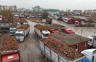 Pancar bedelleri 25 Mart’ta ödenmeye başlıyor