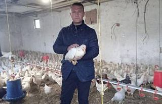 Pandemi döneminde organik yumurtaya talep arttı