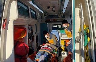 Pendik’te feci kaza: Freni boşalan otobüs tıra...