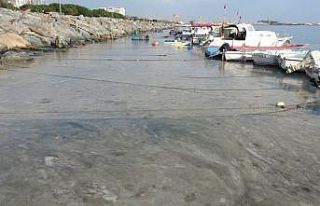 Pendik’te korkutan görüntünün gerçek nedeni...
