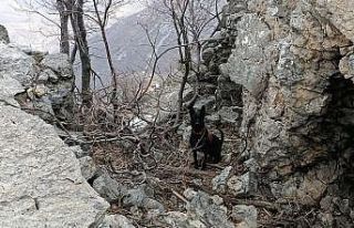 PKK’lı teröristlere ait 2 el yapımı patlayıcı...