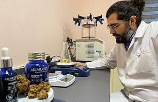 Propolis pastil tükürük bezlerinin çalışmasına...