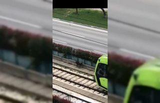 Raylara giren davetsiz misafir binlerce insanın yolculuğunu...