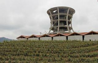 Rize’nin devasa ’Çay bardağı’ Guinness’e...