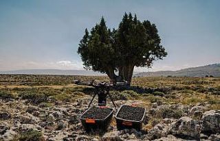 Sabri Ülker Çevre Ödülü’nün bu yılki kazananı...