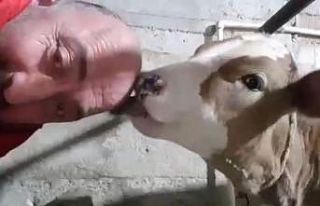 Saçı olmayan Karadenizlinin ilginç çözümü
