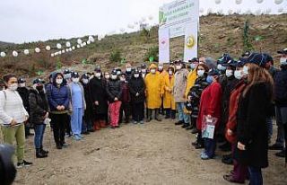 Sağlık çalışanları adına 800 fidan toprakla...