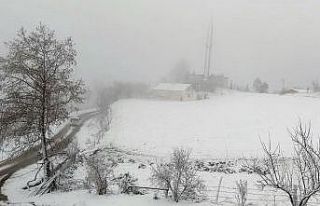 Sakarya’da yüksek kesimlerde kar yağışı etkili...