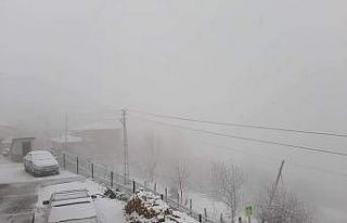 Samsun’a mart karı