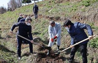 SAMÜ personeli meyve fidanlarını toprakla buluşturdu