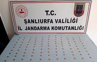 Şanlıurfa’da 110 altın sikke ele geçirildi