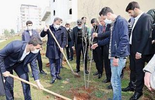Şanlıurfa’da gençler ilçenin sembolü olan nar...