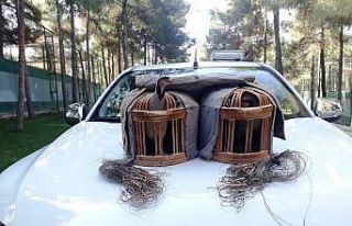 Şanlıurfa’da kaçak keklik avlayan şahıs suçüstü...