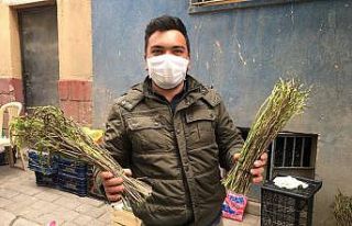 Sarmaşık ve kedirgenler pazarlardaki yerini aldı