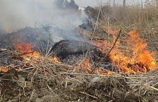 Sazlık yangını kısa sürede söndürüldü