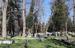 Şehir mezarlığı yenileniyor