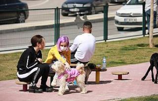 Şehitkamil’de hayvanlar için özel park