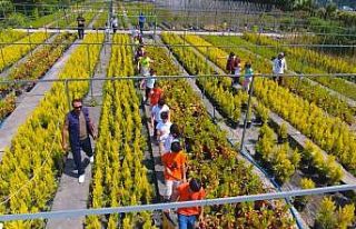 Şehrin kalbindeki 97 yıllık oksijen deposu