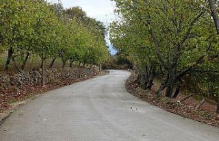 Şehrin kuzeyinde 46 kilometre beton yol yapılacak