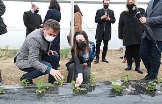 Selçuk Belediyesinin tarım projesine övgü