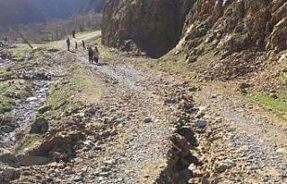 Selden zarar gören köy yollarında çalışmalar...