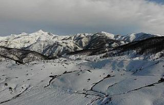 Şenyayla bölgesinin Muş’a bağlanması