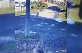 Servis aracıyla sokak köpeğini ezen sürücüye...