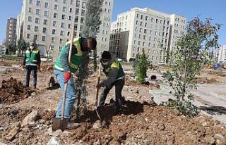 Seyrantepe yeni parklarla yeşilleniyor