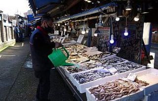 Sezonun son hamsileri tezgahlarda