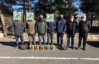 Siirt’te kaçak avcılık yaptığı tespit edilen...