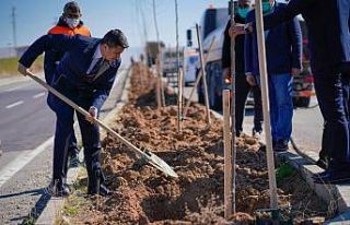 Silvan’da refüj yeşillendirme çalışmaları