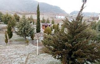 Sincik’te dolu yağışı