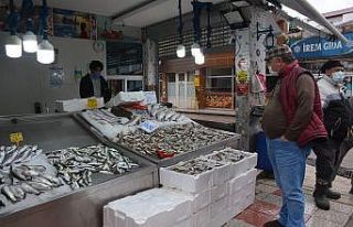 Sinoplu balıkçılar bu sezon umduğunu bulamadı