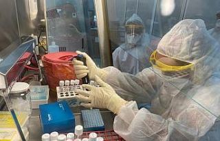 Sinovac aşısında yüzde 99,6 oranında antikor...