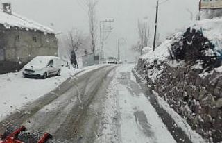 Şırnak’ta bahar ve kış bir arada yaşanıyor