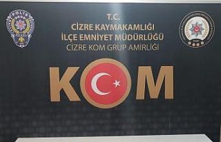 Şırnak’ta kaçakçılık operasyonu: 40 gözaltı