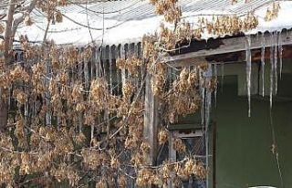 Soğuk hava Ağrı’da etkili olmaya devam ediyor