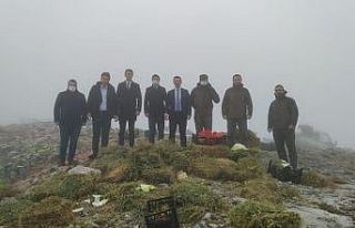 Soğuk havaya rağmen kaymakamlar ve savcı doğada...