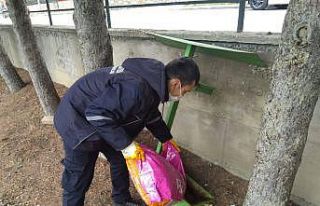 Sokak hayvanları için kentteki yem noktalarına...