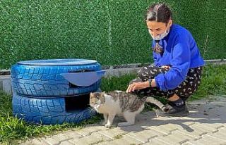Sokak kedileri de açıkta kalmayacak