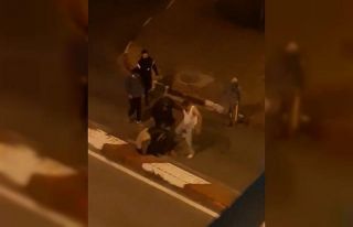 Sokak ortasında bayıltan dayak