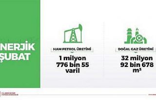 Şubat ayı petrol ve doğalgaz üretimi verileri...