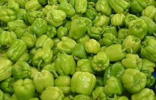 Şubat ayında en çok dolmalık biber fiyatı arttı