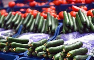 Şubat ayında en çok salatalık fiyatı arttı