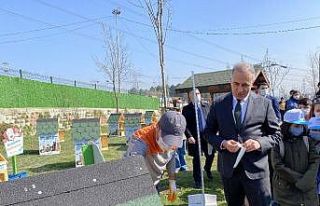 Sultangazi’de “Kedi Köyü” kuruldu