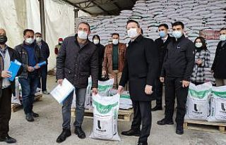 Sungurlu’da çiftçilere 34 ton nohut tohumu dağıtıldı