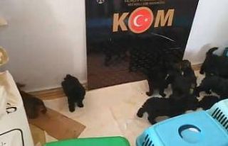 Şüpheli araçtan çıkanlar şoke etti: Yurtdışından...