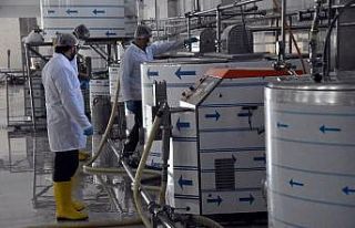 Tarım ve hayvancılık sektörü 2020 yılında Bitlis’e...